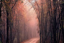 代拍、代跑、倒卖名额，马拉松大热滋生灰色生意.