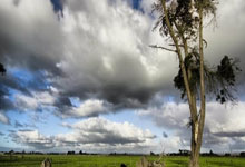 西甲-莱万进球奥尔莫破门 巴萨三球完胜奥萨苏纳.