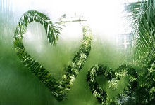 [中超]上海海港战术角球 武磊后点头球破门.