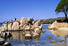 韩国vs阿曼：孙兴慜领衔，李在城、黄喜灿出战，李刚仁替补.